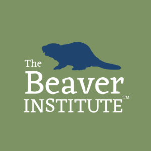 The Beaver